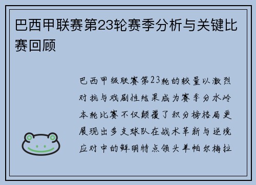 巴西甲联赛第23轮赛季分析与关键比赛回顾