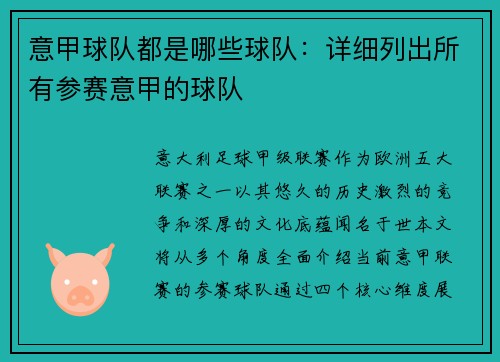 意甲球队都是哪些球队：详细列出所有参赛意甲的球队